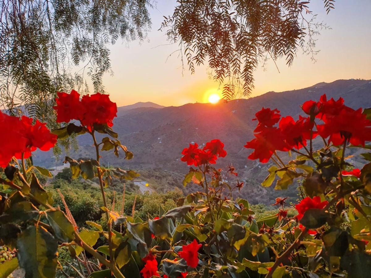 Вилла Cortijo La Rijana Саялонга Экстерьер фото